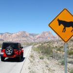 Jeep Yj Years to Avoid