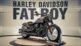 Harley Fatboy Years to Avoid